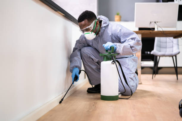 Professional Pest Control in San Elizario, TX